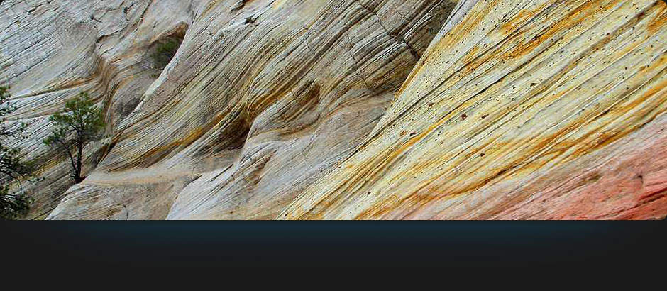 erectafil is utilized to reduced cholesterol and also triglycerides (kinds of fat) in the blood.